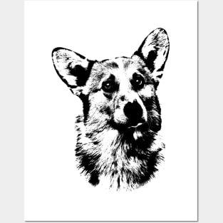 Welsh Corgi Posters and Art